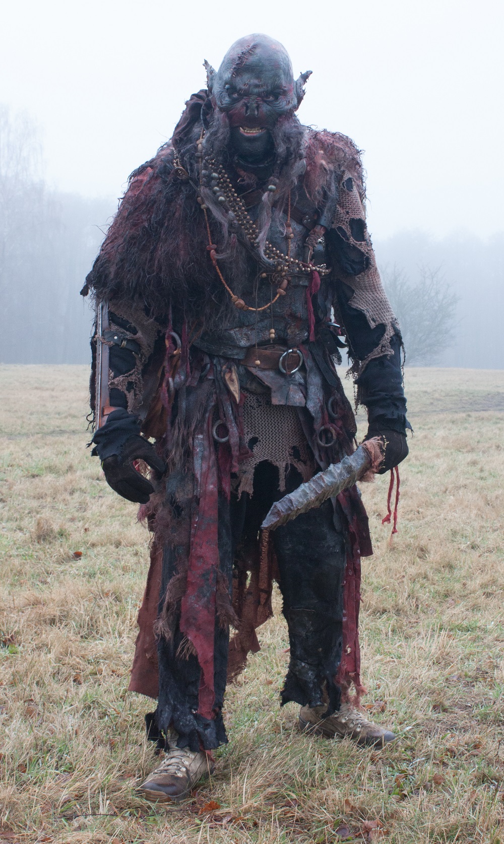 ZKZ 2017 01 21-front noshield 1.jpg