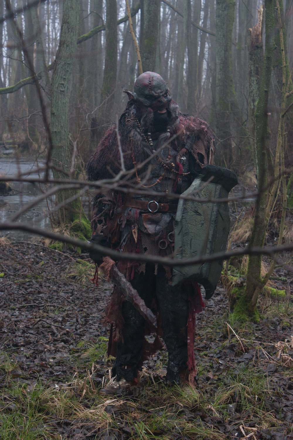 ZKZ 2017 01 21-front shielded 1.jpg