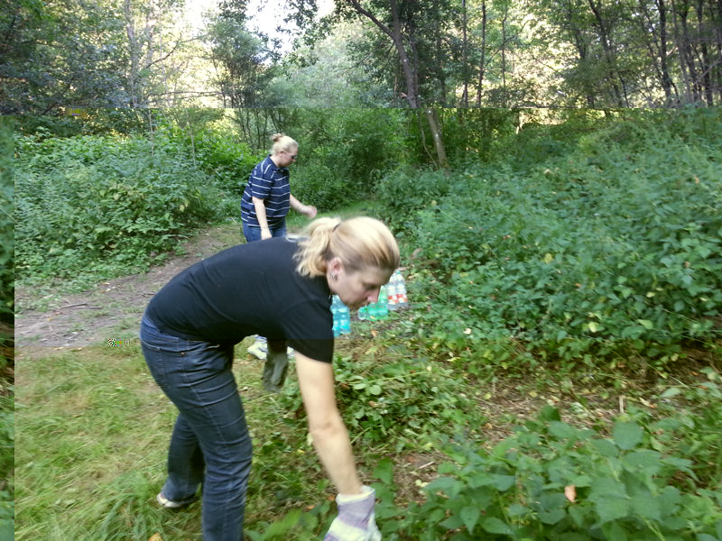 20130719_183548k.jpg